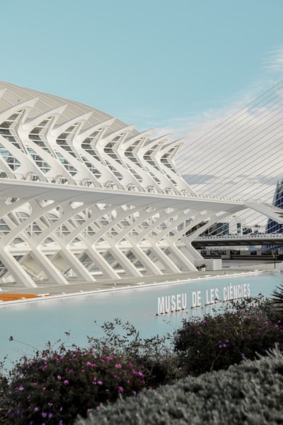 白天靠近水体的白色混凝土建筑